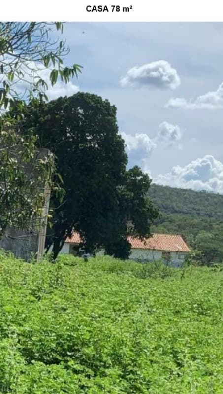 Foto 6 de 6: Area Rural em leilão em Inhuma - PI — LOTE 001 66,66,66HA DE TERRAS EM INHUMA