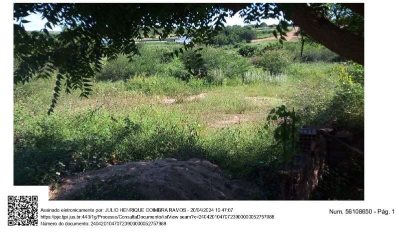 Foto 1 de 5: Terreno em leilão em Avelino Lopes - PI — LOTE 001 LOTES DE TERRENOS