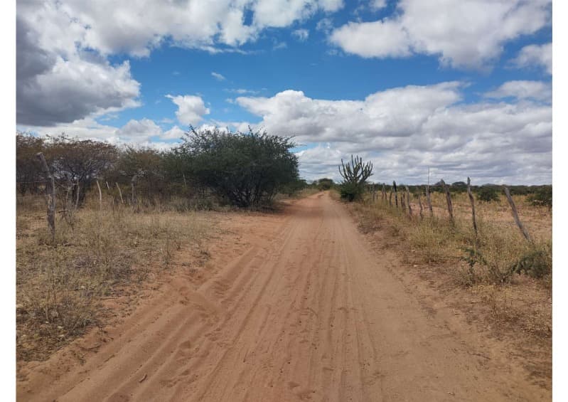 Foto 15 de 19: Area Rural em leilão em Campo Grande Do Piauí - PI — LOTE 001 15 HA DE TERRAS