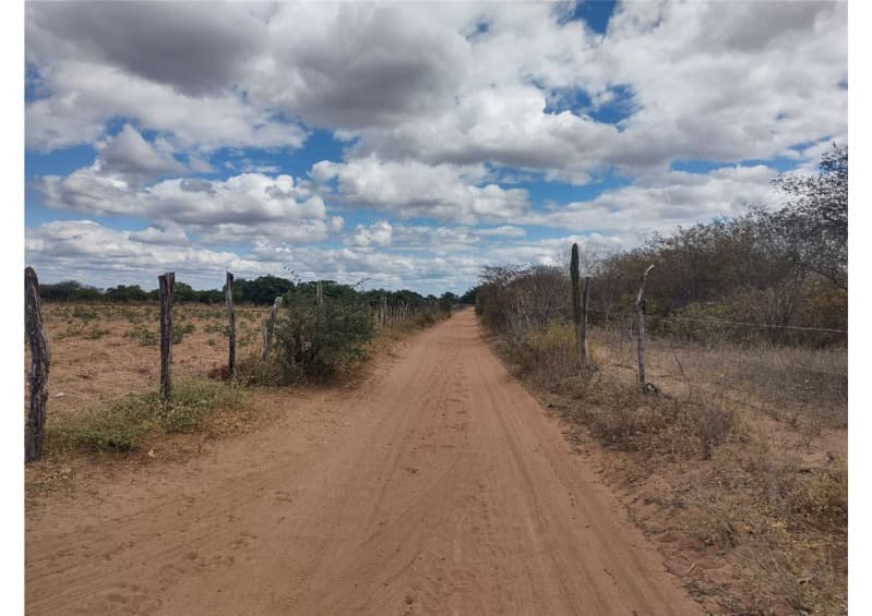 Foto 16 de 19: Area Rural em leilão em Campo Grande Do Piauí - PI — LOTE 001 15 HA DE TERRAS