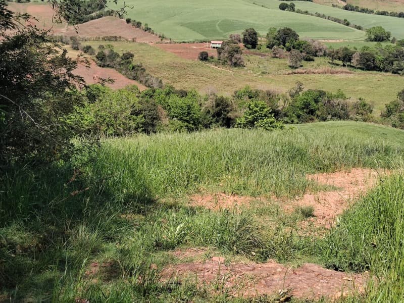 Foto 9 de 9: Terreno em leilão em Jaboticaba - RS — LOTE 001-1 FRAÇÃO DE TERRAS COM A SUPERFÍCIE DE 22.000,00M², SITUADA NA LINHA BARREIRO, MUNICÍPIO DE