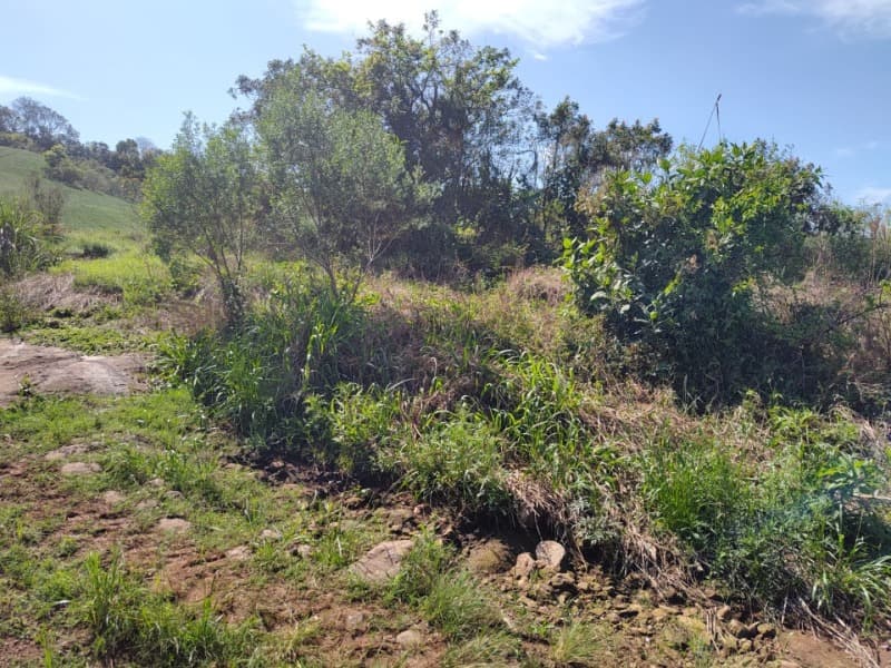 Foto 2 de 9: Terreno em leilão em Jaboticaba - RS — LOTE 001-2 FRAÇÃO DE TERRAS COM A SUPERFÍCIE DE 27.000,00M², SITUADO NA LINHA BARREIRO, MUNICÍPIO DE