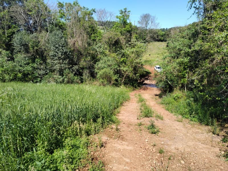 Foto 3 de 9: Terreno em leilão em Jaboticaba - RS — LOTE 001-2 FRAÇÃO DE TERRAS COM A SUPERFÍCIE DE 27.000,00M², SITUADO NA LINHA BARREIRO, MUNICÍPIO DE