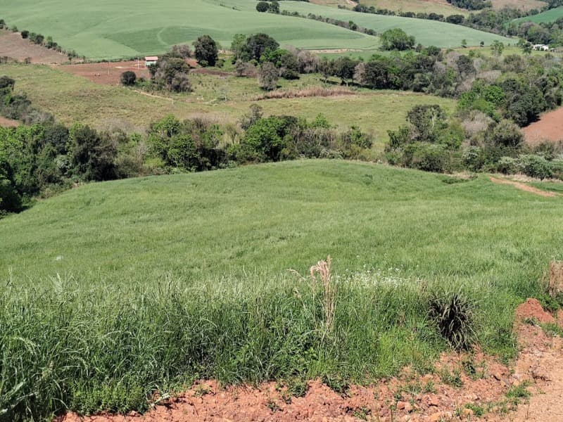 Foto 4 de 9: Terreno em leilão em Jaboticaba - RS — LOTE 001-2 FRAÇÃO DE TERRAS COM A SUPERFÍCIE DE 27.000,00M², SITUADO NA LINHA BARREIRO, MUNICÍPIO DE