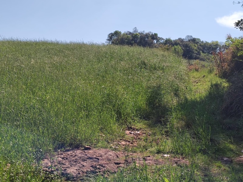 Foto 5 de 9: Terreno em leilão em Jaboticaba - RS — LOTE 001-2 FRAÇÃO DE TERRAS COM A SUPERFÍCIE DE 27.000,00M², SITUADO NA LINHA BARREIRO, MUNICÍPIO DE
