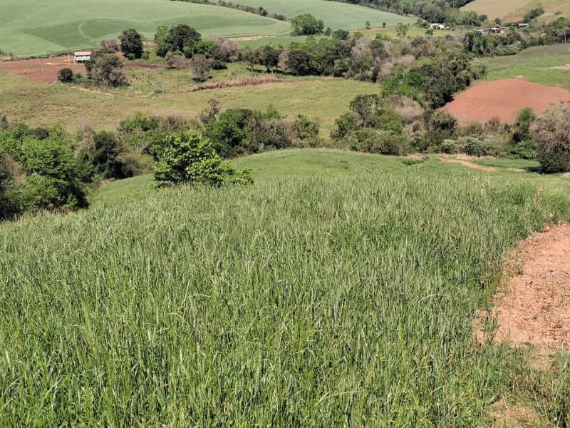 Foto 6 de 9: Terreno em leilão em Jaboticaba - RS — LOTE 001-2 FRAÇÃO DE TERRAS COM A SUPERFÍCIE DE 27.000,00M², SITUADO NA LINHA BARREIRO, MUNICÍPIO DE