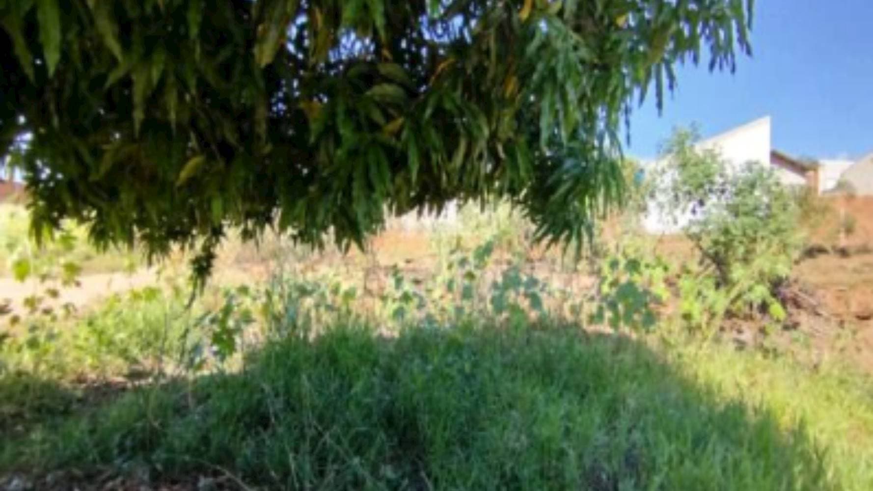 Foto 6 de 6: Terreno em leilão em Pacaembu - SP — Terreno no Bairro Jardim Marajá em Pacaembu/SP