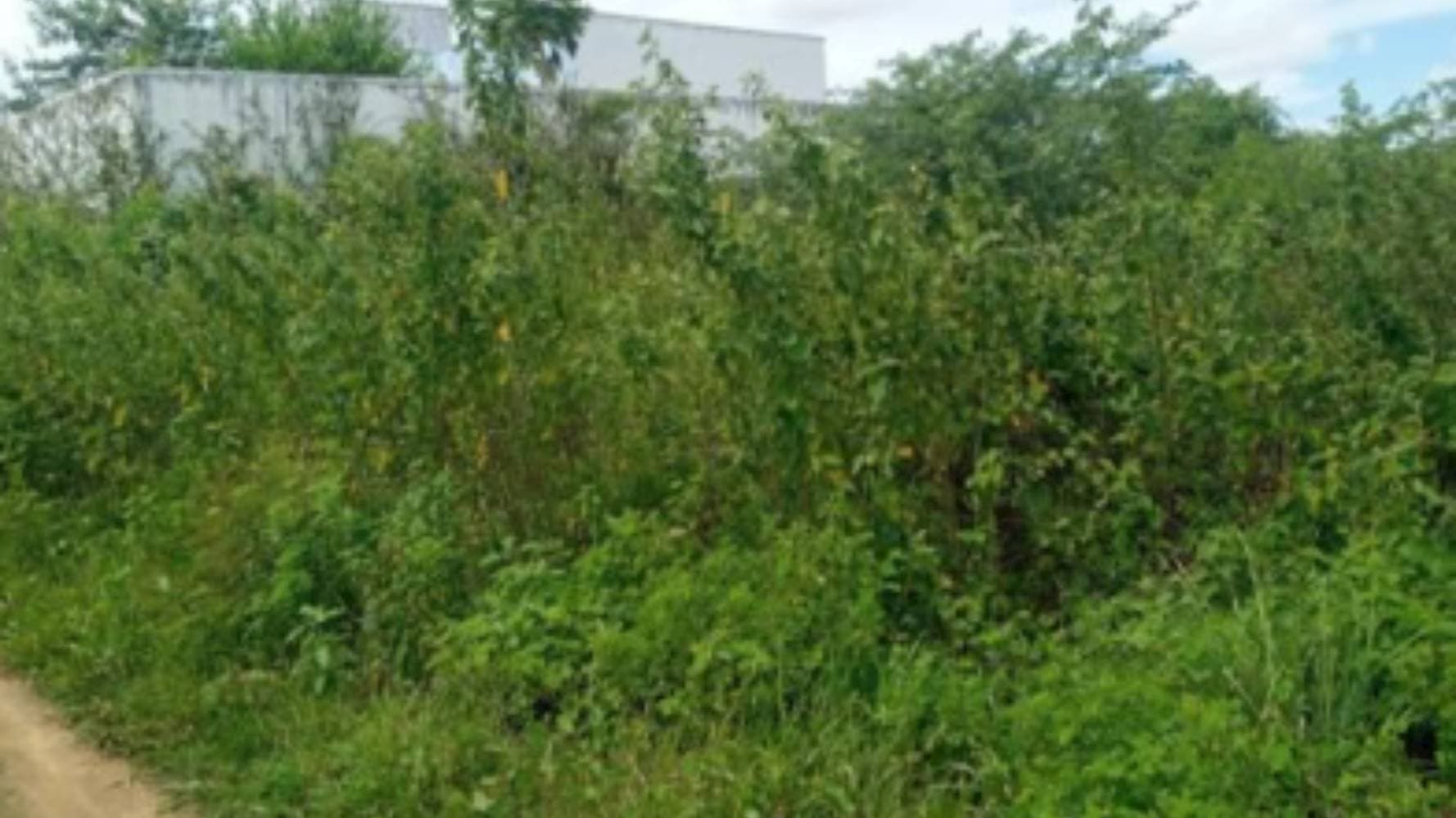 Foto 5 de 8: Terreno em leilão em Pedra Branca - CE — 04 Terrenos no "Loteamento Eldorado II" em Santa Maria - Pedra Branca/CE
