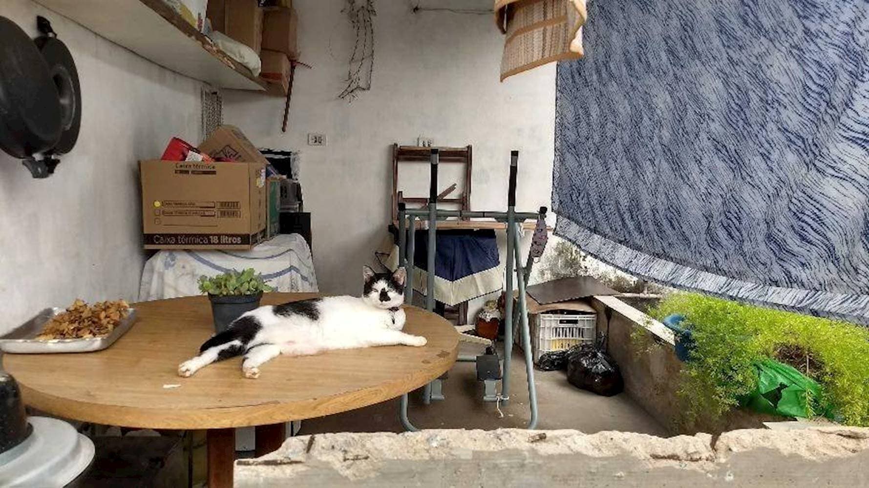 Foto 10 de 28: Casa em leilão em Maceió - AL — Casa, Padrão, 1 vaga(s) de garagem