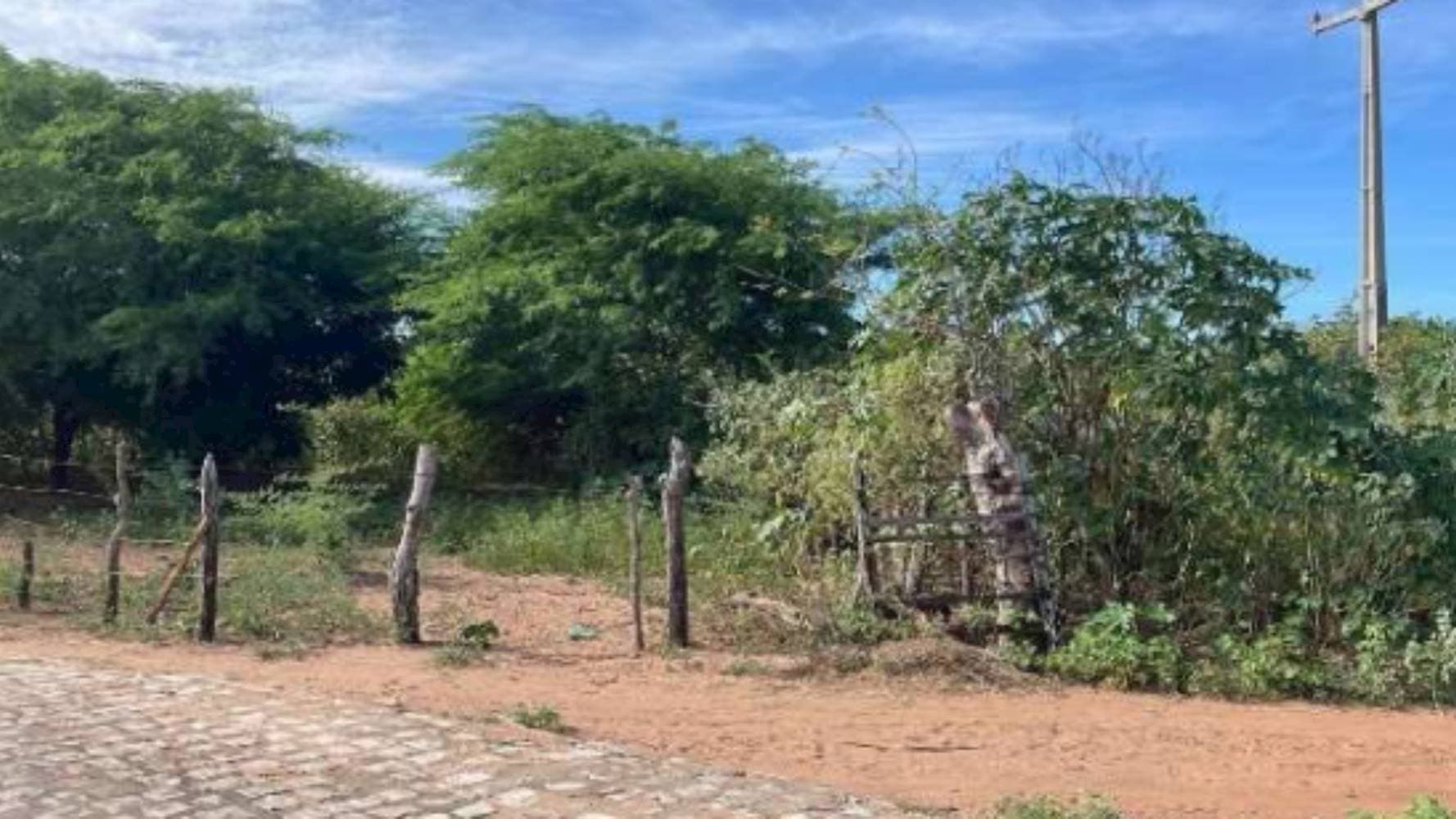 Foto 2 de 5: Terreno em leilão em Areia Branca - RN — Terreno em Mel de Baixo - Areia Branca/RN
