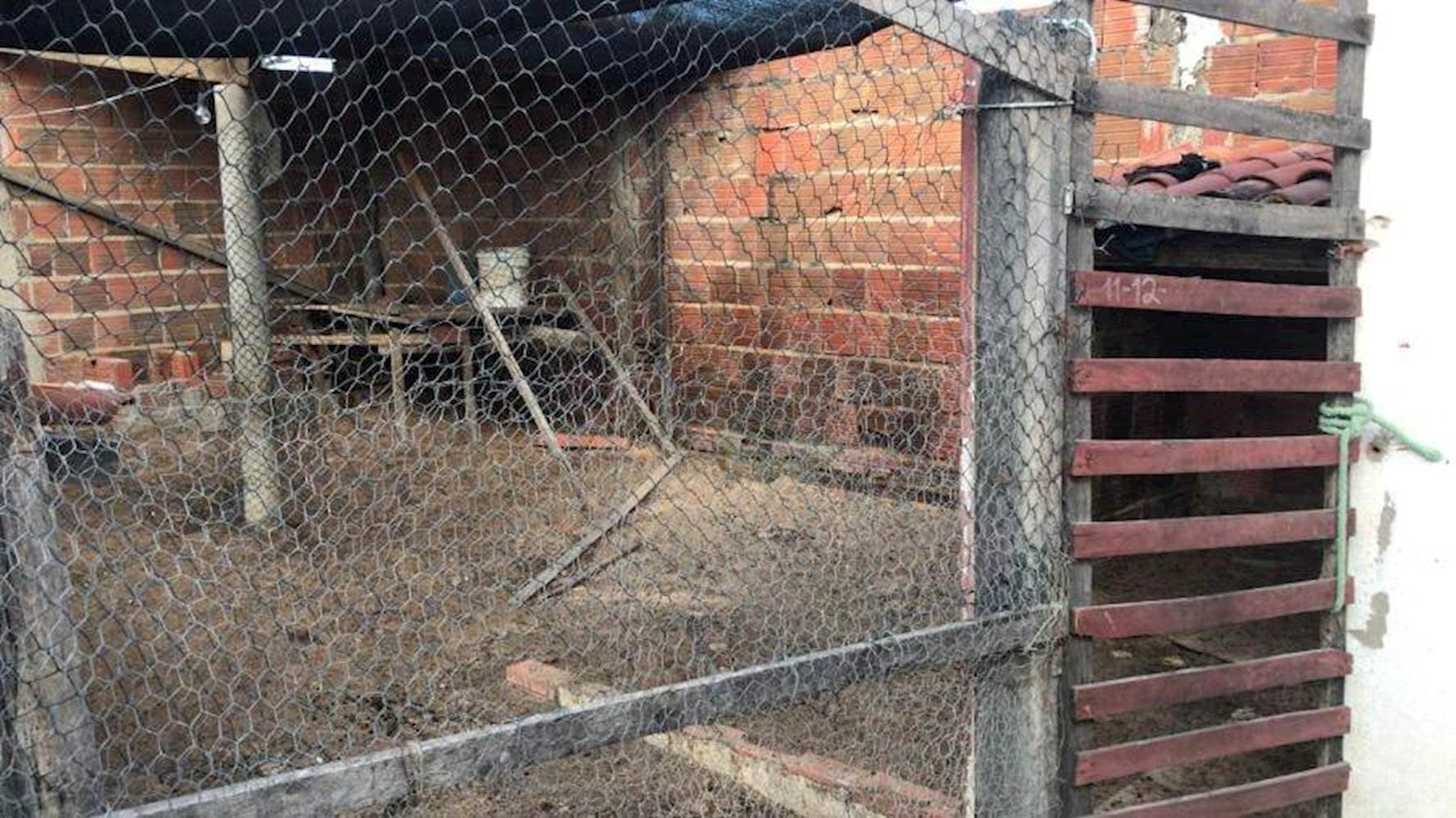 Foto 14 de 14: Casa em leilão em Jaguaribara - CE — Casa, Padrão, 1 vaga(s) de garagem