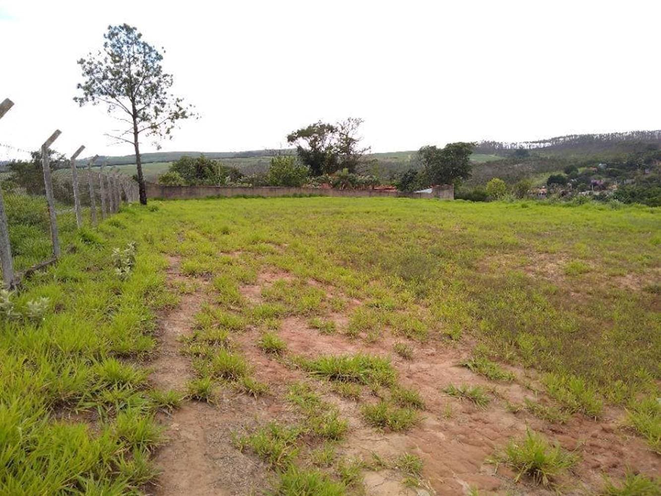 Foto 5 de 15: Terreno em leilão em Limeira - SP — Terreno no Jardim Residencial Regina Bastelli - Limeira/SP