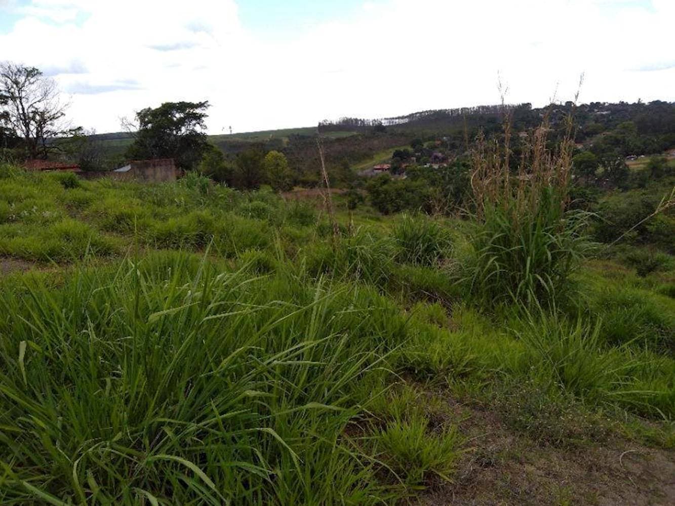 Foto 7 de 15: Terreno em leilão em Limeira - SP — Terreno no Jardim Residencial Regina Bastelli - Limeira/SP