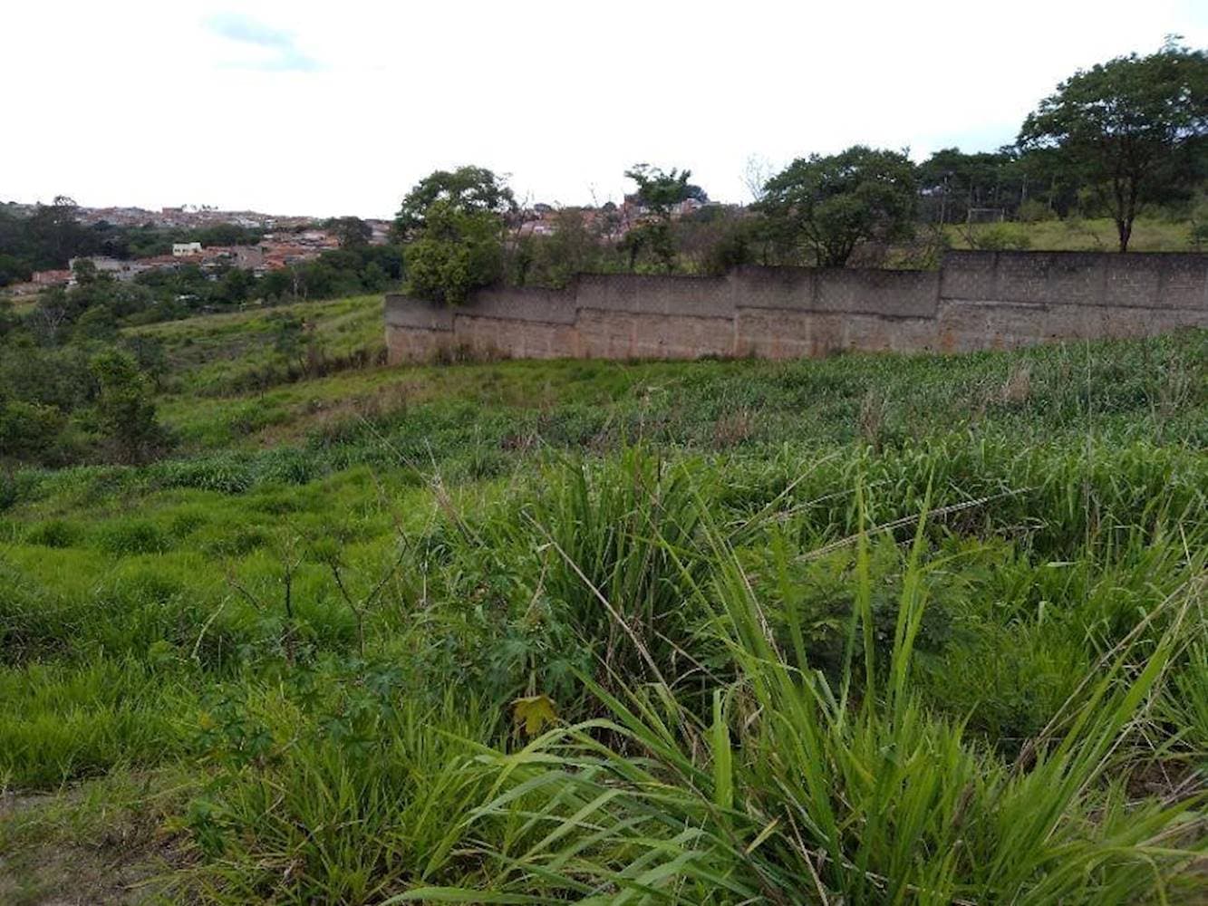 Foto 8 de 15: Terreno em leilão em Limeira - SP — Terreno no Jardim Residencial Regina Bastelli - Limeira/SP