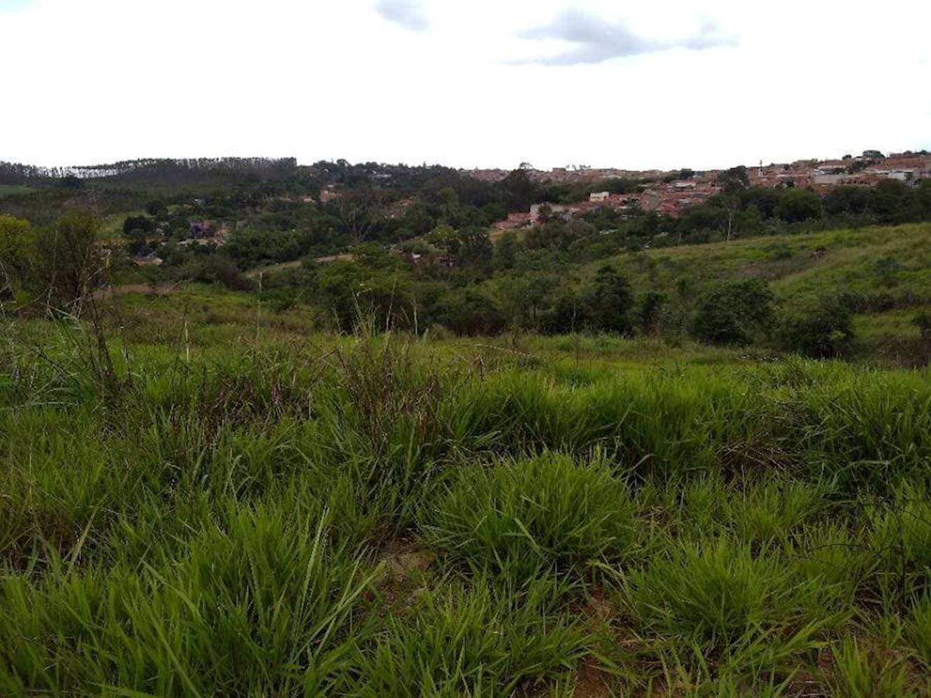 Foto 9 de 15: Terreno em leilão em Limeira - SP — Terreno no Jardim Residencial Regina Bastelli - Limeira/SP