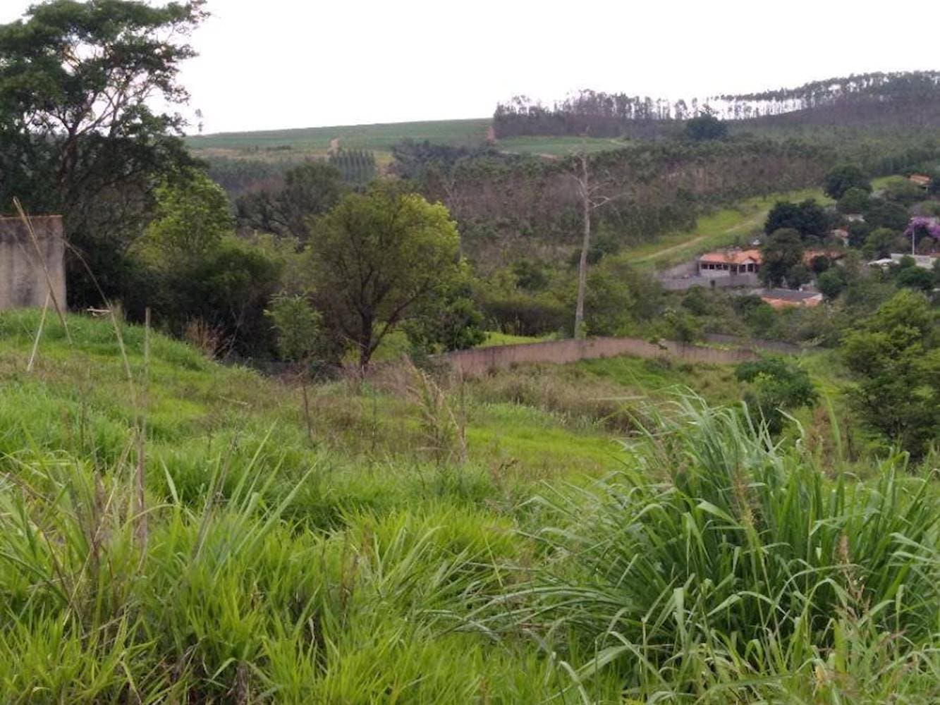 Foto 13 de 15: Terreno em leilão em Limeira - SP — Terreno no Jardim Residencial Regina Bastelli - Limeira/SP