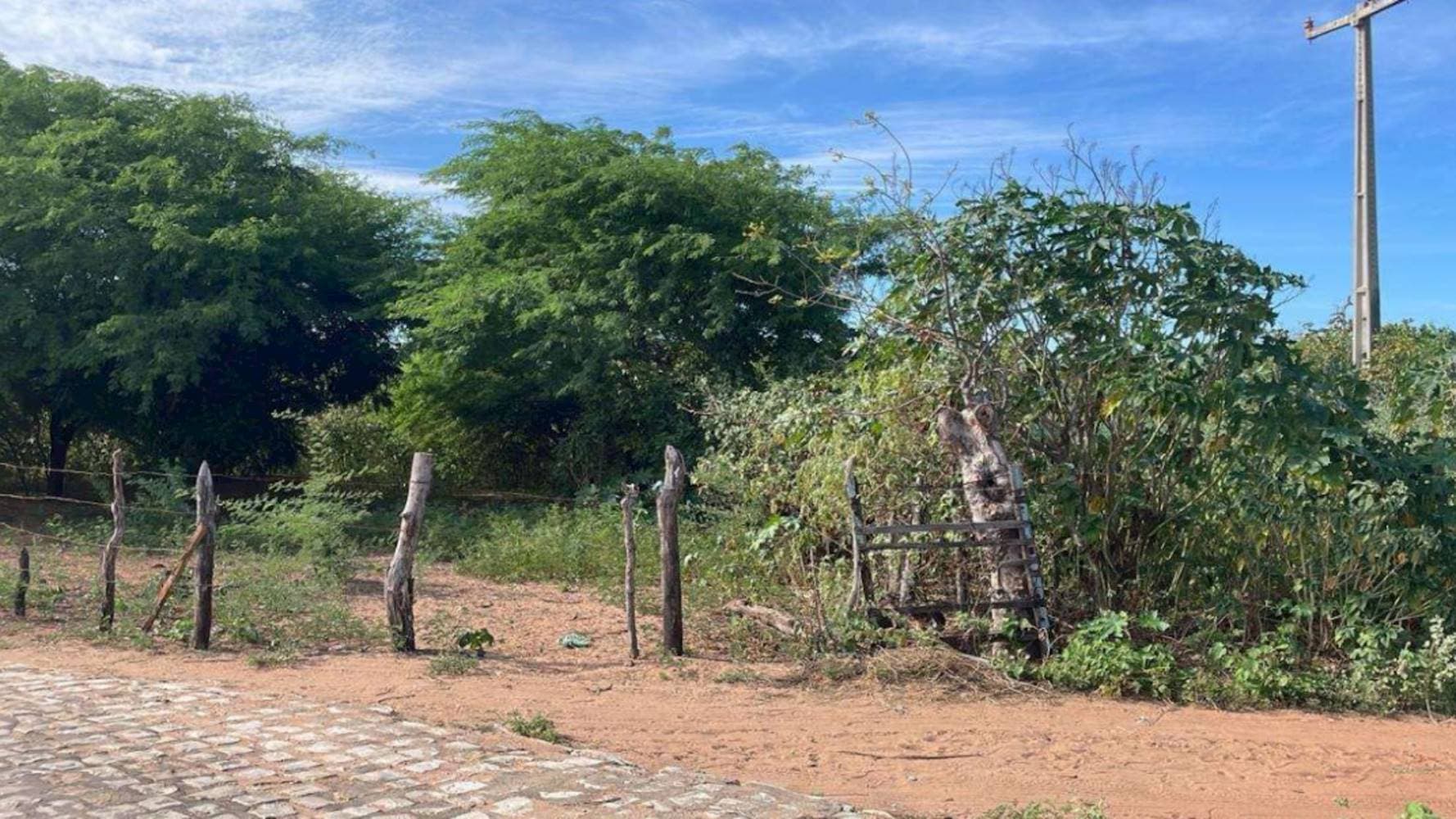 Foto 5 de 5: Terreno em leilão em Areia Branca - RN — Terreno em Pé da Serra - Areia Branca/RN