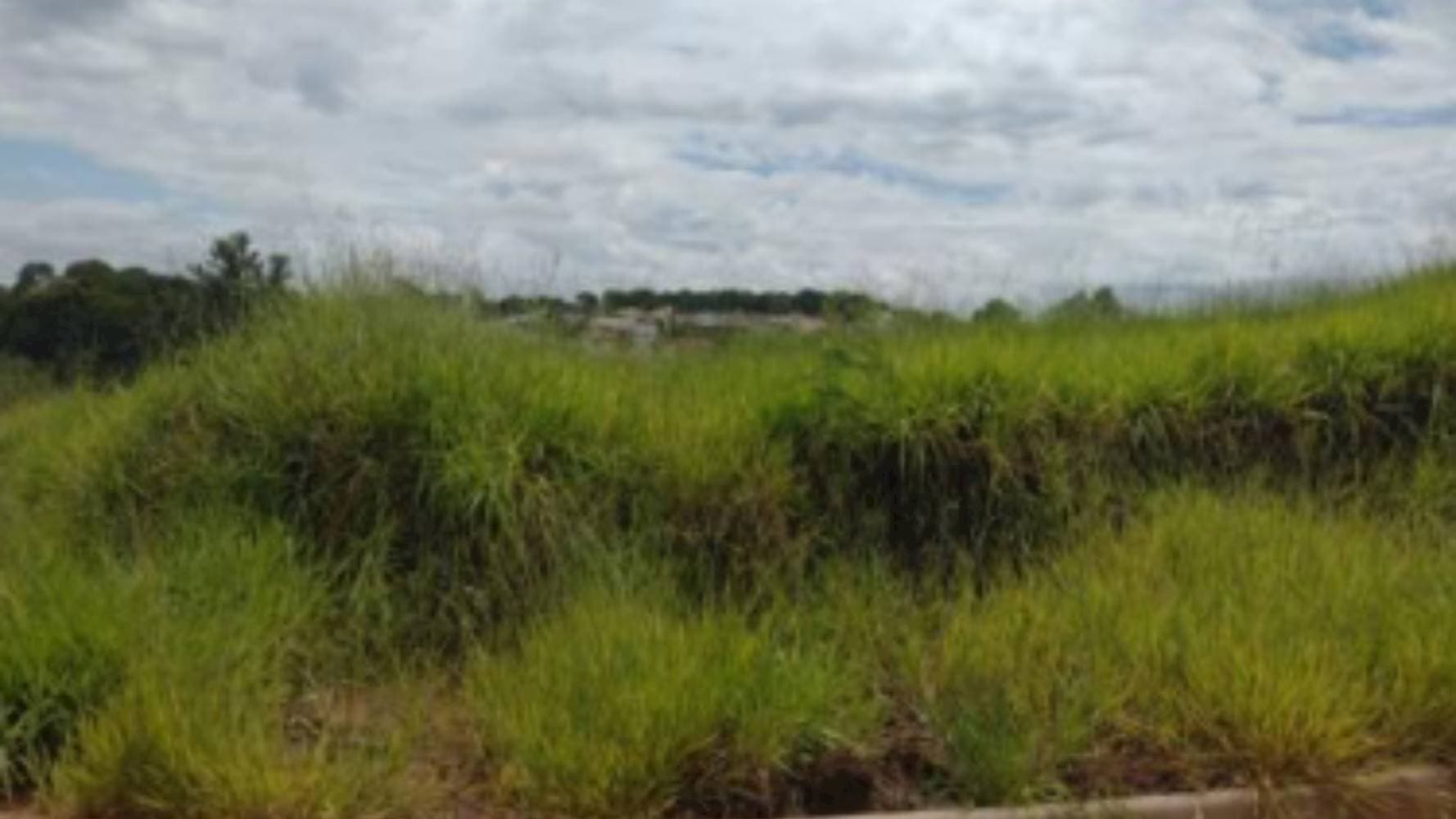 Foto 3 de 6: Terreno em leilão em Dracena - SP — Terreno no "Royal Residence" em Dracena/SP