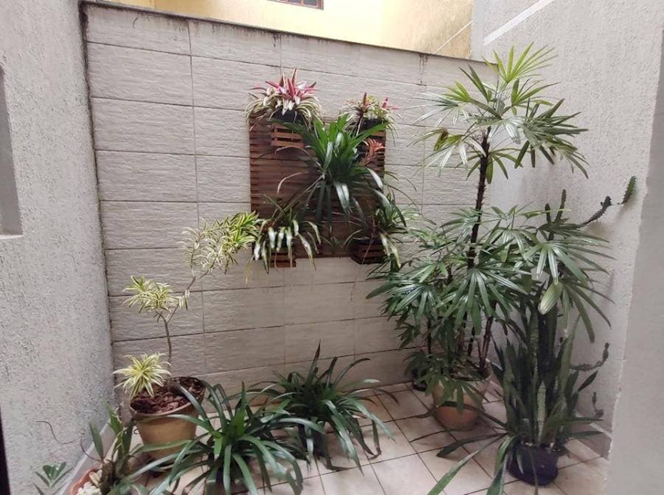 Foto 12 de 23: Casa em leilão em Santo André - SP — Casa no Jardim Marek - Santo André/SP