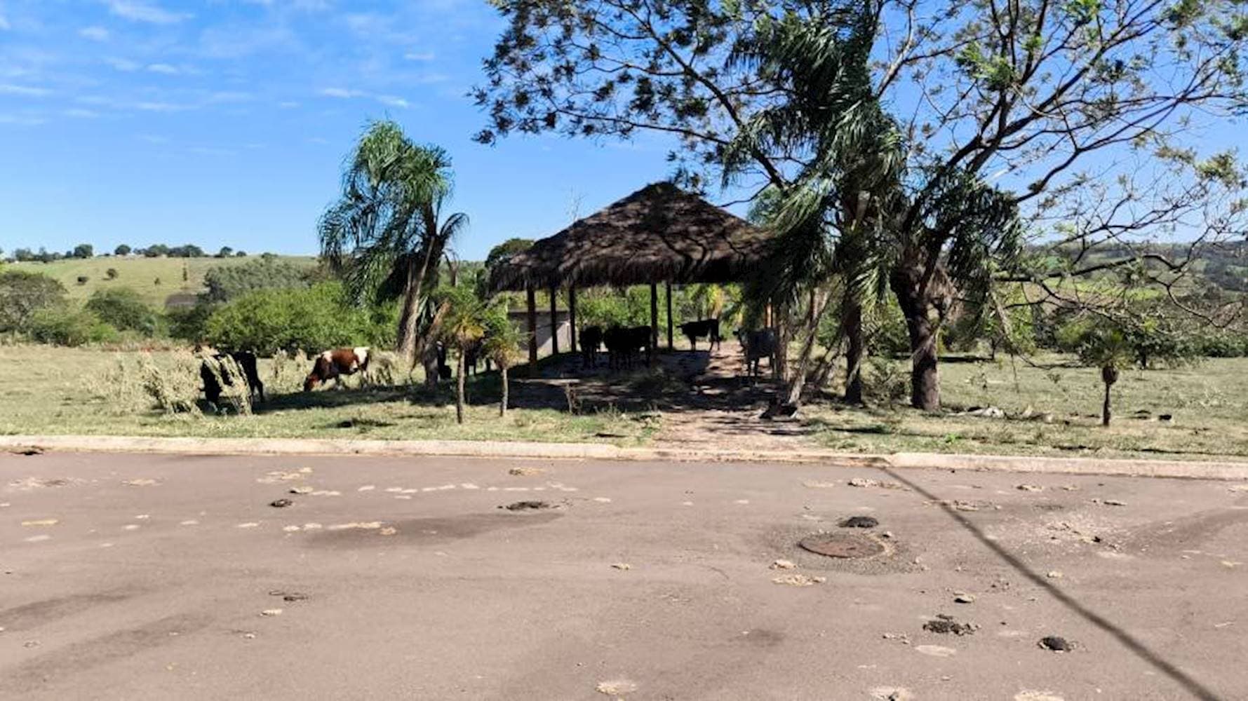 Foto 13 de 20: Terreno em leilão em Pérola - PR — Terreno no Parque Residencial Viva em Pérola/PR