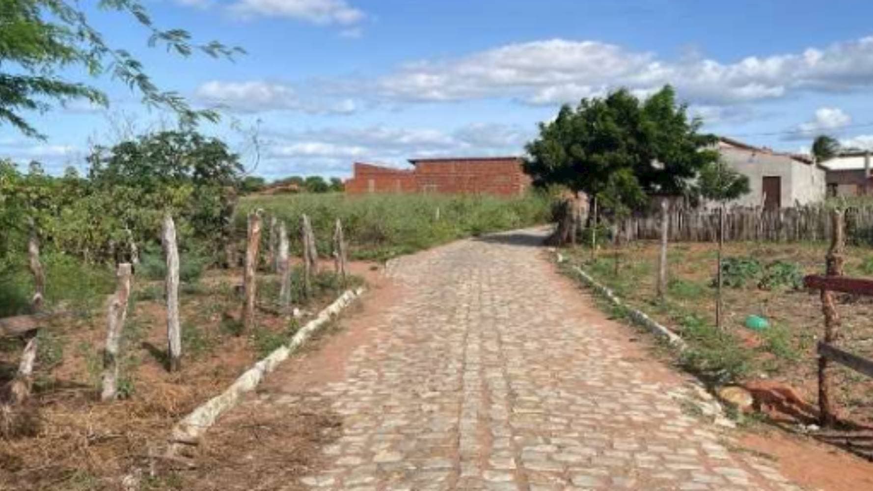 Foto 3 de 5: Terreno em leilão em Areia Branca - RN — Terreno em Mel de Baixo - Areia Branca/RN