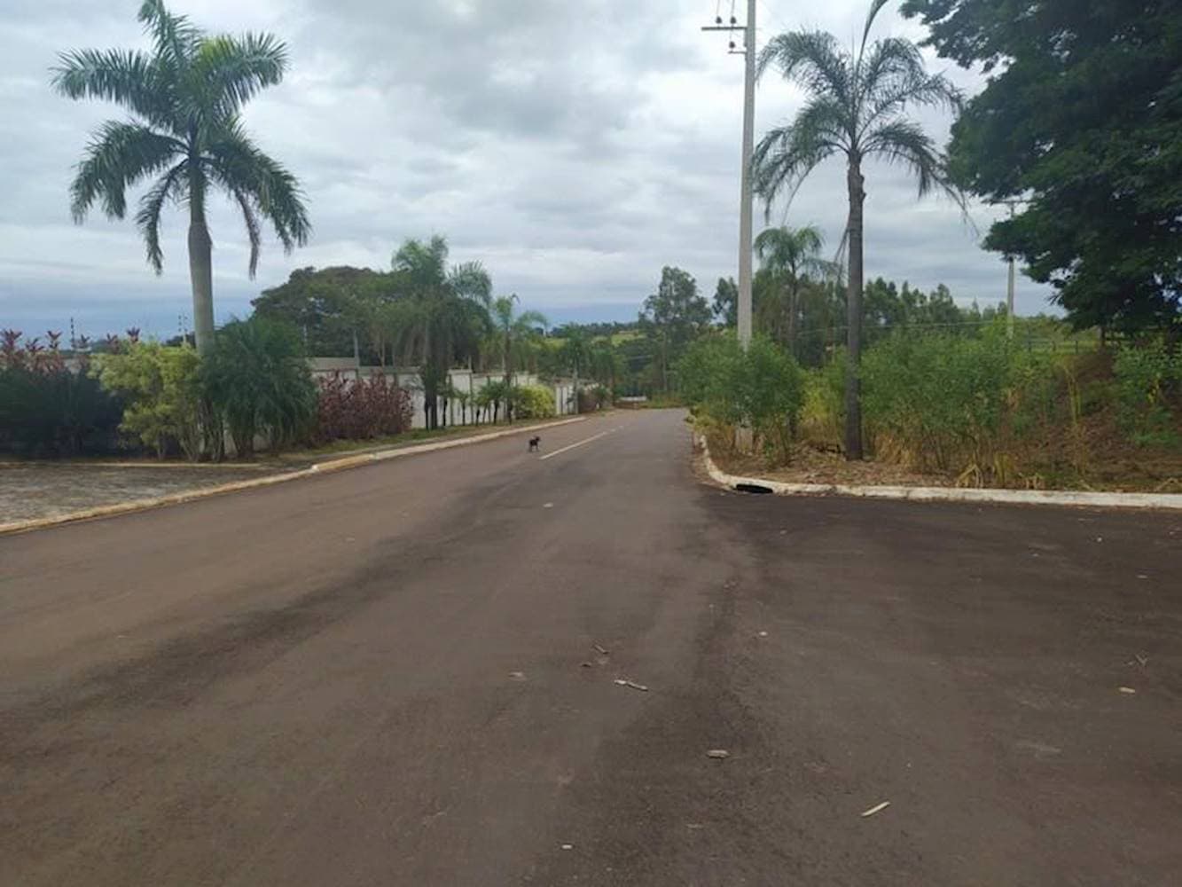 Foto 4 de 16: Terreno em leilão em Pérola - PR — Terreno no Residencial Viva em Pérola/PR - (Lote 04 - Quadra 04)