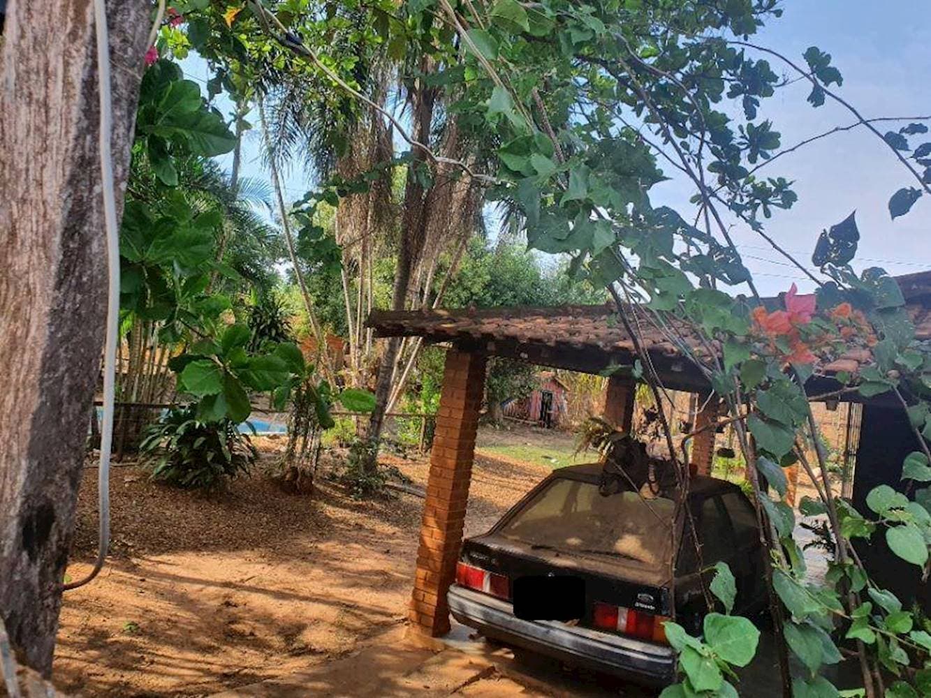 Foto 8 de 40: Casa em leilão em Guaiçara - SP — Casa em Saúde - Guaiçara/SP