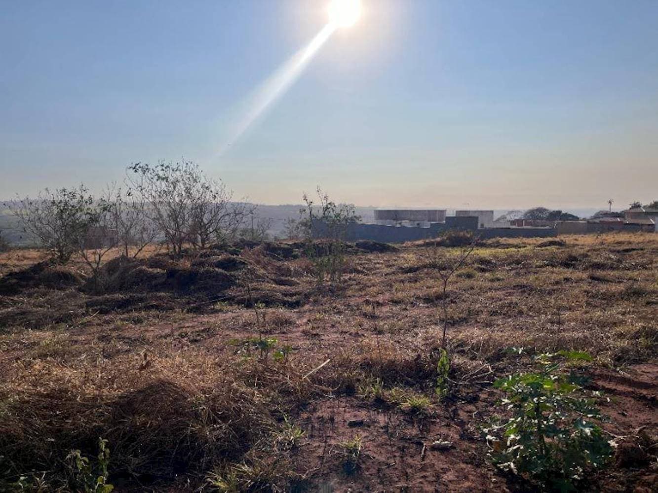 Foto 1 de 6: Terreno em leilão em Orlândia - SP — Terreno no Jardim Timboré em Orlândia/SP