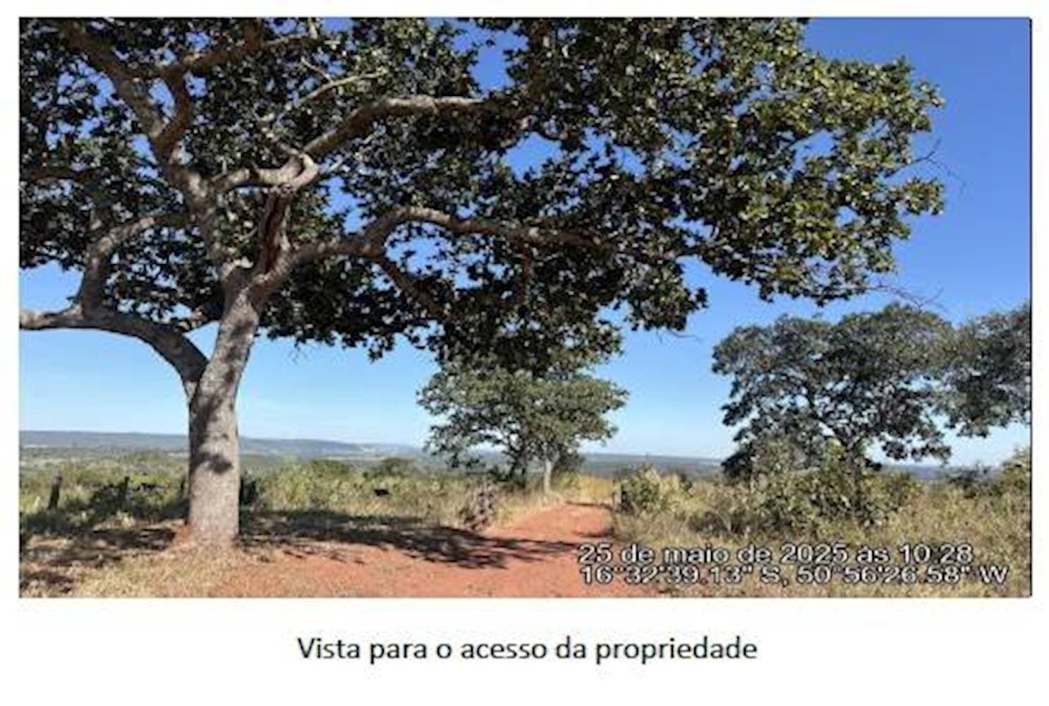 Foto 1 de 5: Area Rural em leilão em Ivolândia - GO — Fazenda Córrego Fundo Denominada Floresta - Ivolândia/GO