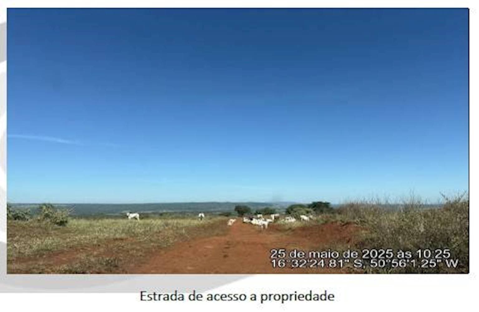 Foto 4 de 5: Area Rural em leilão em Ivolândia - GO — Fazenda Córrego Fundo Denominada Floresta - Ivolândia/GO