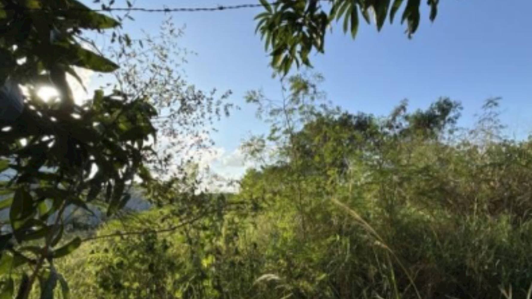 Foto 7 de 7: Terreno em leilão em Linhares - ES — Terreno em Palmital - Linhares/ ES