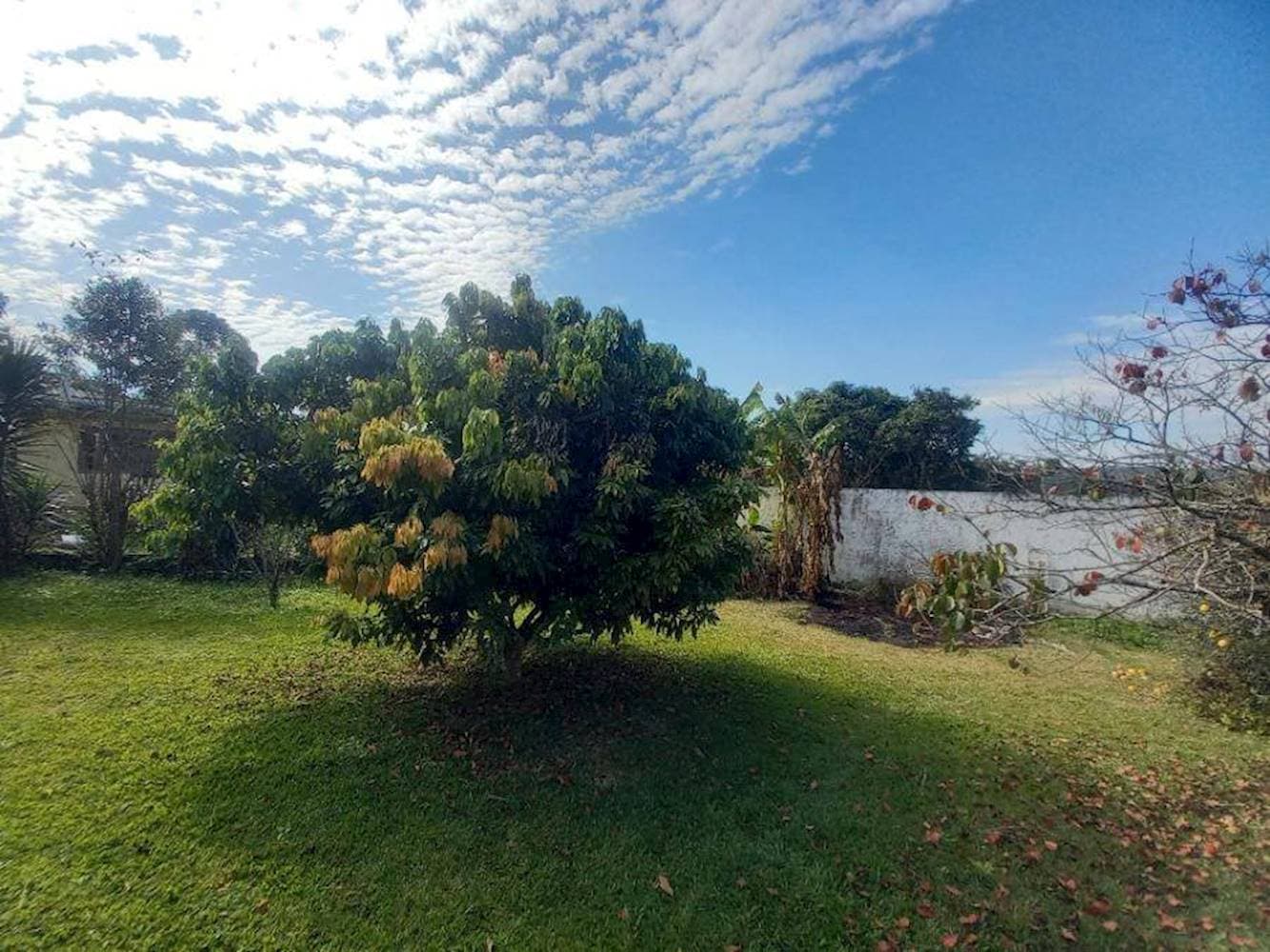 Foto 11 de 20: Casa em leilão em Suzano - SP — Casa na Chacara Recreio Internacional - Suzano/SP