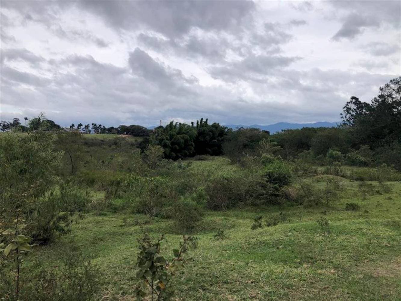 Foto 3 de 7: Terreno em leilão em Taubaté - SP — Terreno no Parque São Cristóvão em Taubaté/SP