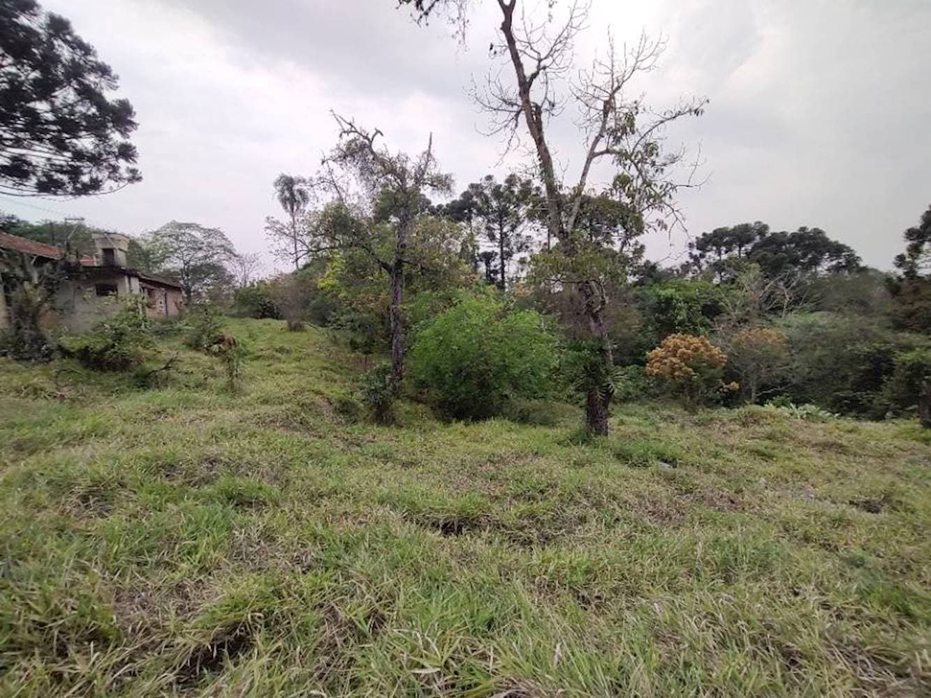 Foto 4 de 7: Terreno em leilão em Cotia - SP — Terreno no Jardim Sabia em Cotia/SP
