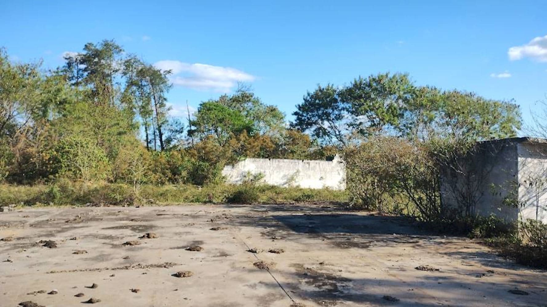 Foto 2 de 8: Terreno em leilão em Taubaté - SP, bairro Parque São Cristovão — Terreno no Parque São Cristovão em Taubaté/SP
