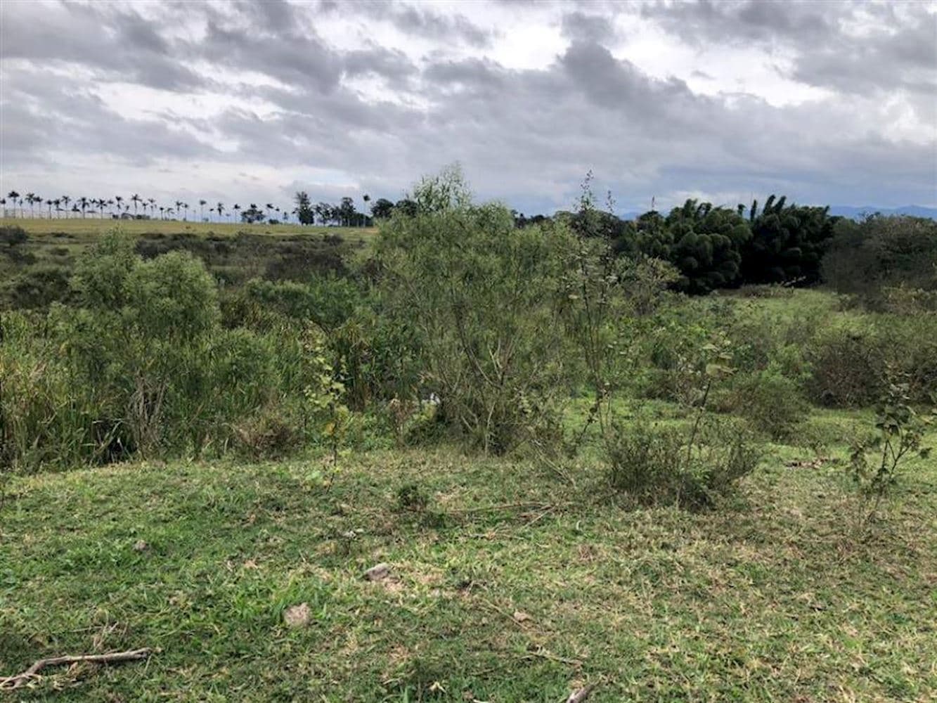 Foto 6 de 8: Terreno em leilão em Taubaté - SP, bairro Parque São Cristovão — Terreno no Parque São Cristovão em Taubaté/SP