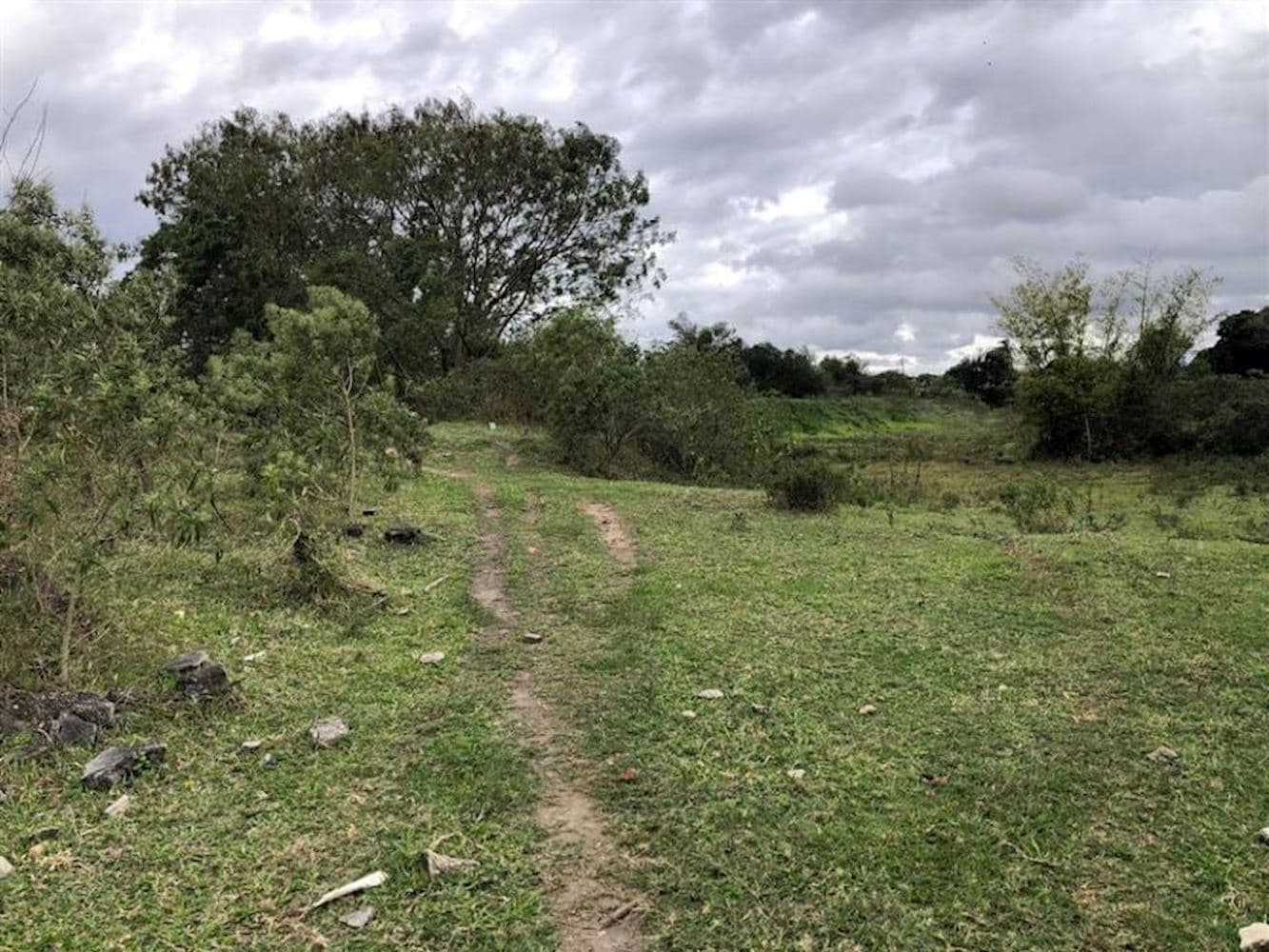 Foto 7 de 8: Terreno em leilão em Taubaté - SP, bairro Parque São Cristovão — Terreno no Parque São Cristovão em Taubaté/SP