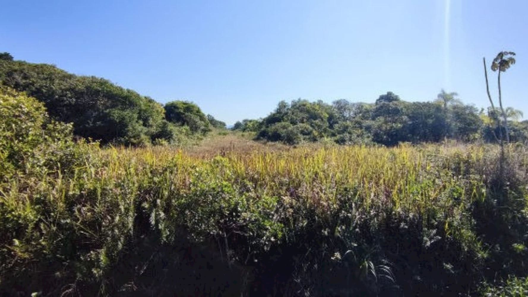 Foto 1 de 6: Terreno em leilão em Ilha Comprida - SP, bairro Balneário Guarapuava — Terreno no Balneário Guarapuava em Ilha Comprida/SP