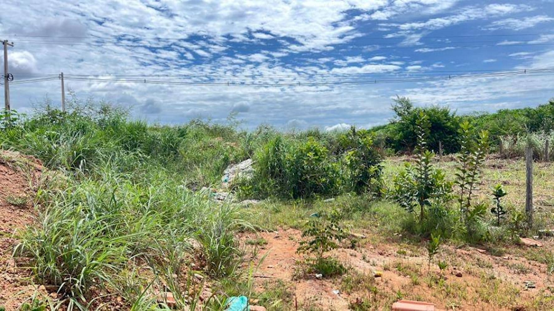 Foto 1 de 4: Terreno em leilão em Vilhena - RO — Lote no Setor Zico em Vilhena/RO