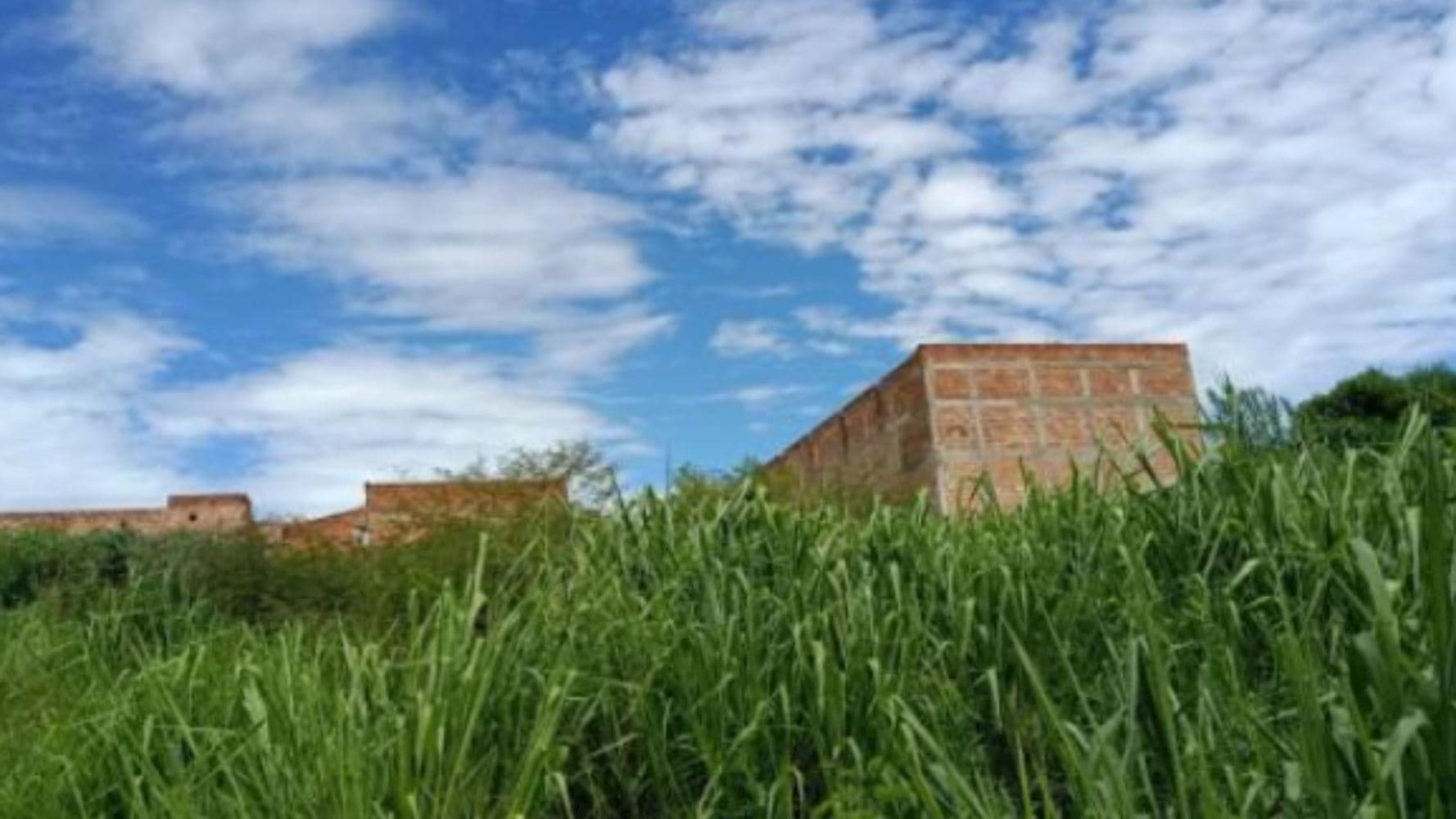 Foto 1 de 5: Terreno em leilão em Uberaba - MG, bairro Recreio dos Bandeirantes — Terreno no "Terra Jardim Uberaba" - Uberaba/MG