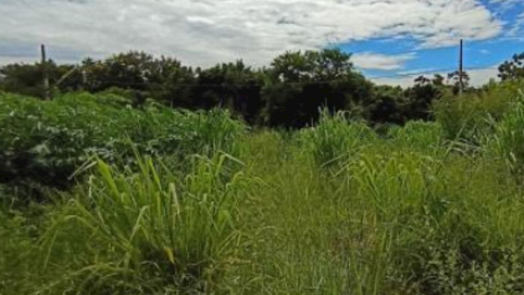 Foto 2 de 5: Terreno em leilão em Uberaba - MG, bairro Recreio dos Bandeirantes — Terreno no "Terra Jardim Uberaba" - Uberaba/MG