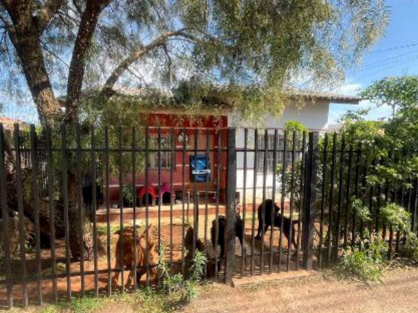 Foto 5 de 19: Casa em leilão em Passo Fundo - RS, bairro Roselândia — Casa em Roselândia - Passo Fundo/RS