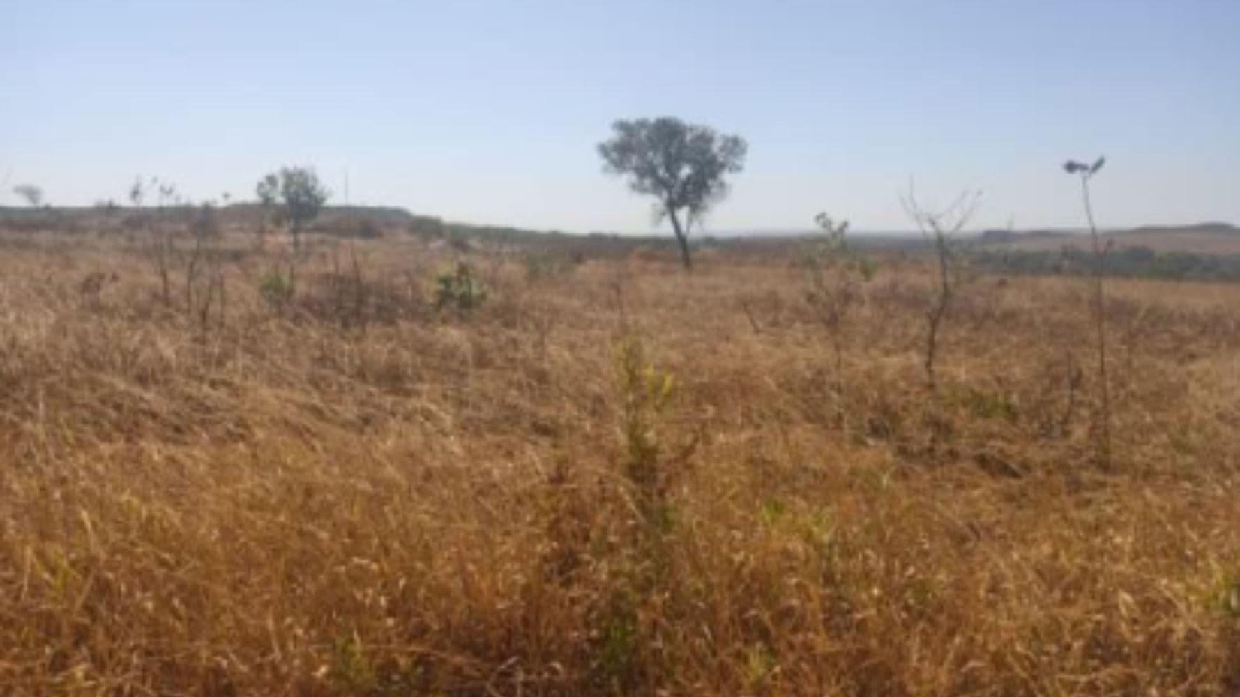 Foto 13 de 19: Terreno em leilão em Luziânia - GO, bairro Cidade Industrial de Luziânia — 08 Terrenos no Loteamento Cidade Industrial de Luziânia - Luziânia/GO