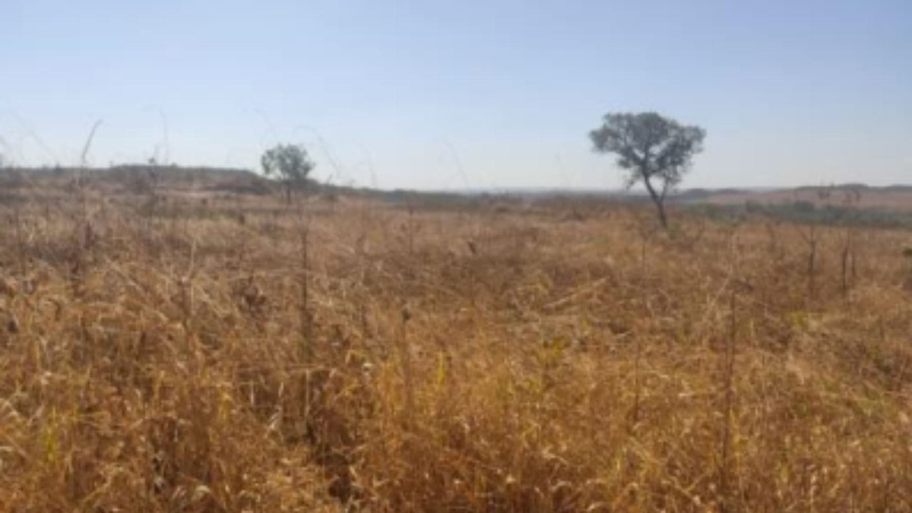 Foto 14 de 19: Terreno em leilão em Luziânia - GO, bairro Cidade Industrial de Luziânia — 08 Terrenos no Loteamento Cidade Industrial de Luziânia - Luziânia/GO