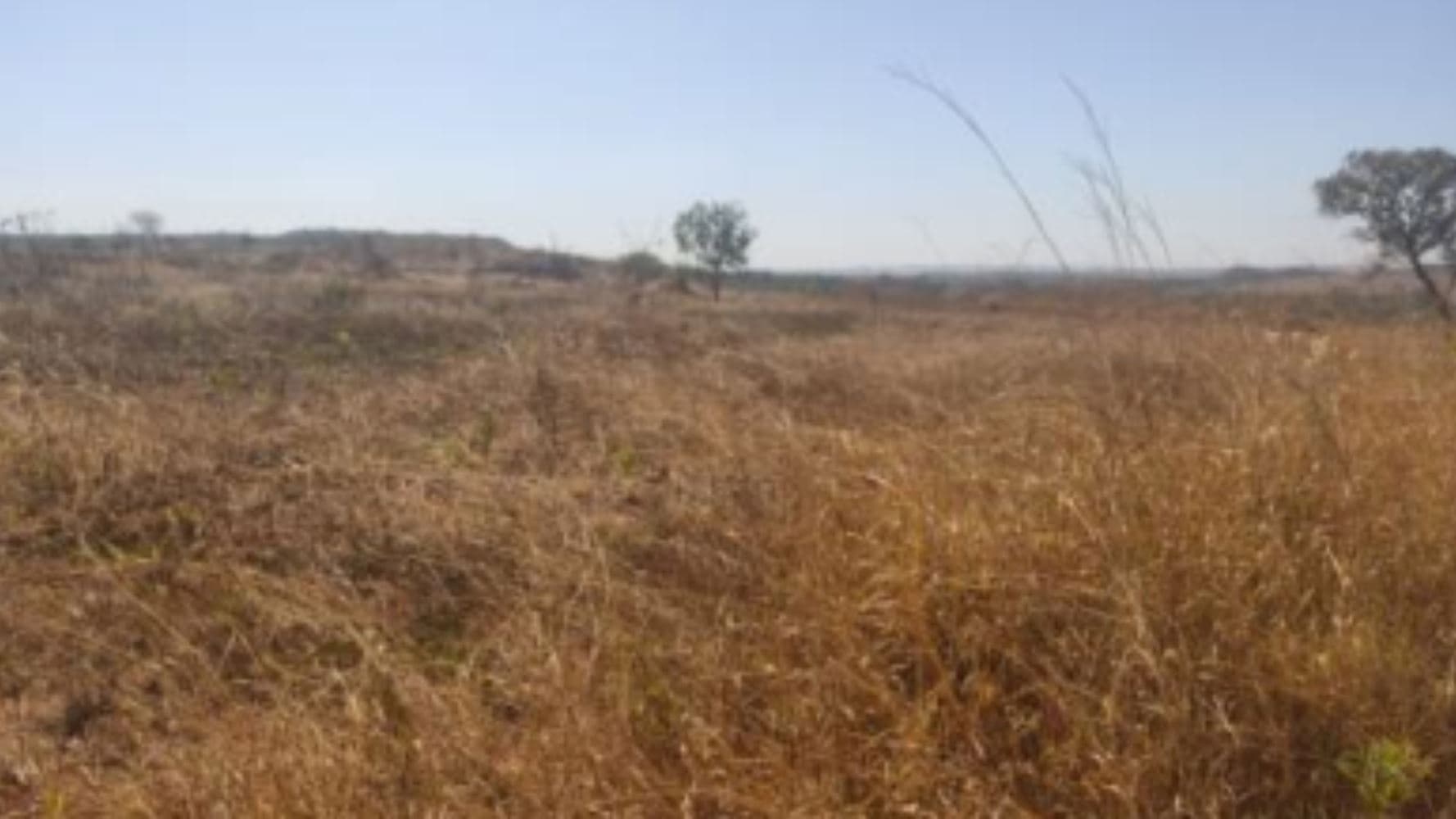Foto 15 de 19: Terreno em leilão em Luziânia - GO, bairro Cidade Industrial de Luziânia — 08 Terrenos no Loteamento Cidade Industrial de Luziânia - Luziânia/GO