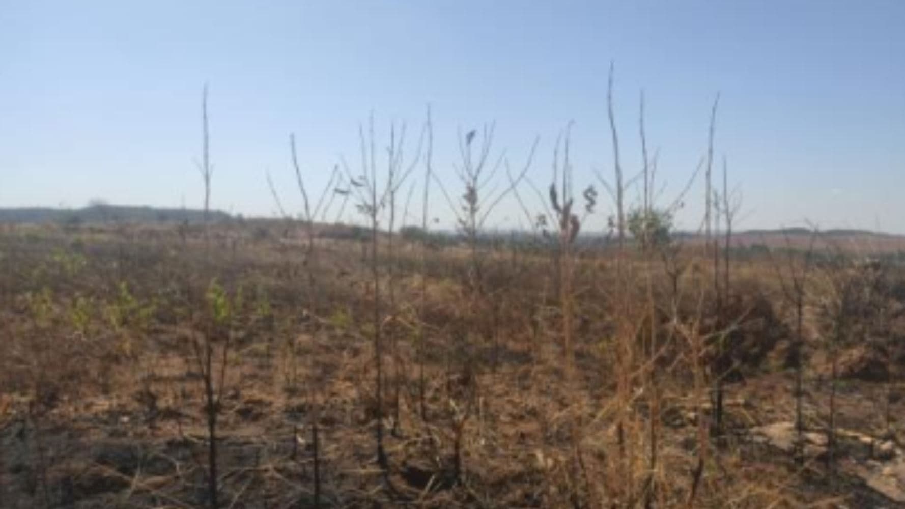 Foto 16 de 19: Terreno em leilão em Luziânia - GO, bairro Cidade Industrial de Luziânia — 08 Terrenos no Loteamento Cidade Industrial de Luziânia - Luziânia/GO