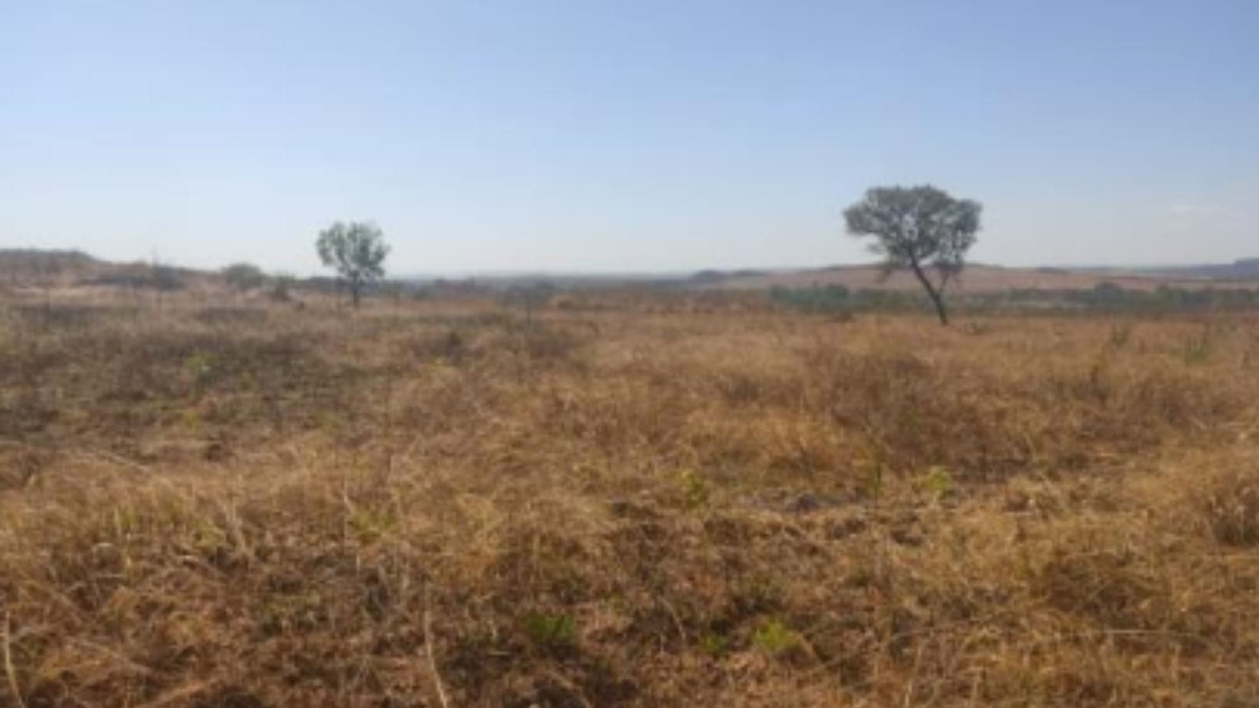Foto 19 de 19: Terreno em leilão em Luziânia - GO, bairro Cidade Industrial de Luziânia — 08 Terrenos no Loteamento Cidade Industrial de Luziânia - Luziânia/GO