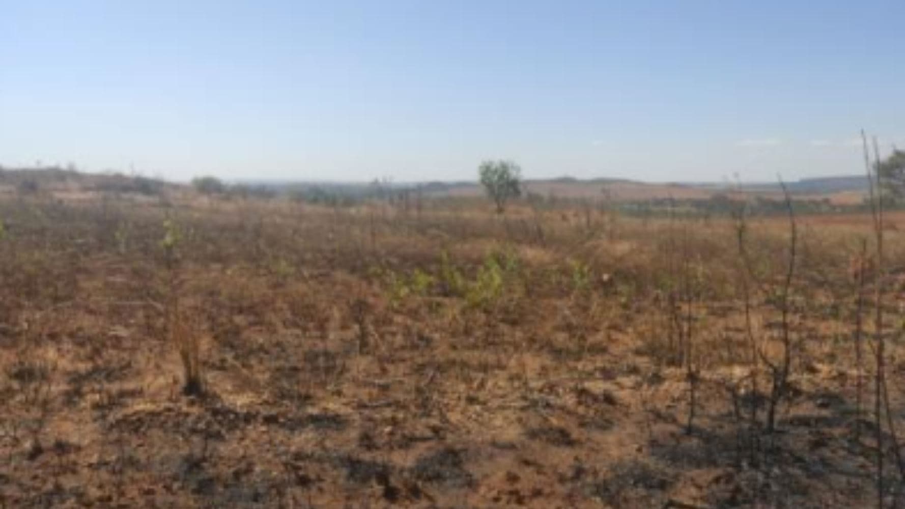 Foto 2 de 19: Terreno em leilão em Luziânia - GO, bairro Cidade Industrial de Luziânia — 08 Terrenos no Loteamento Cidade Industrial de Luziânia - Luziânia/GO