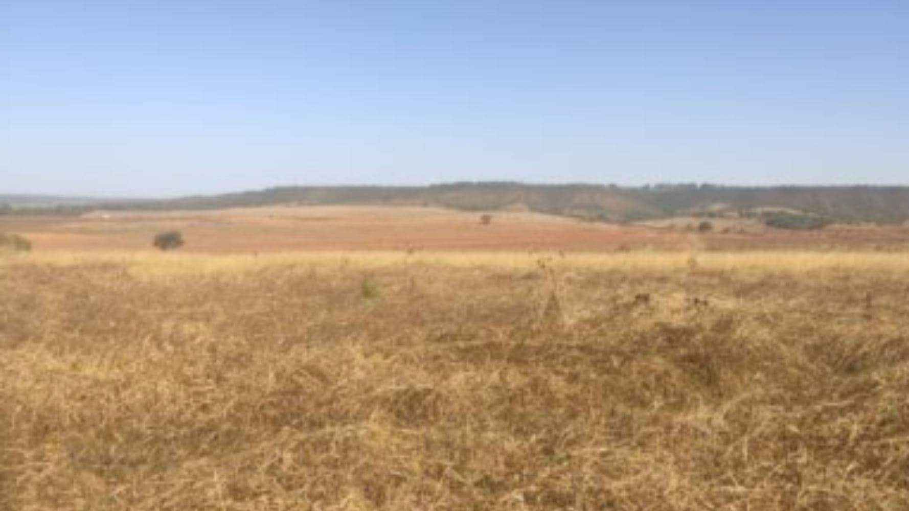 Foto 10 de 19: Terreno em leilão em Luziânia - GO, bairro Cidade Industrial de Luziânia — 08 Terrenos no Loteamento Cidade Industrial de Luziânia - Luziânia/GO
