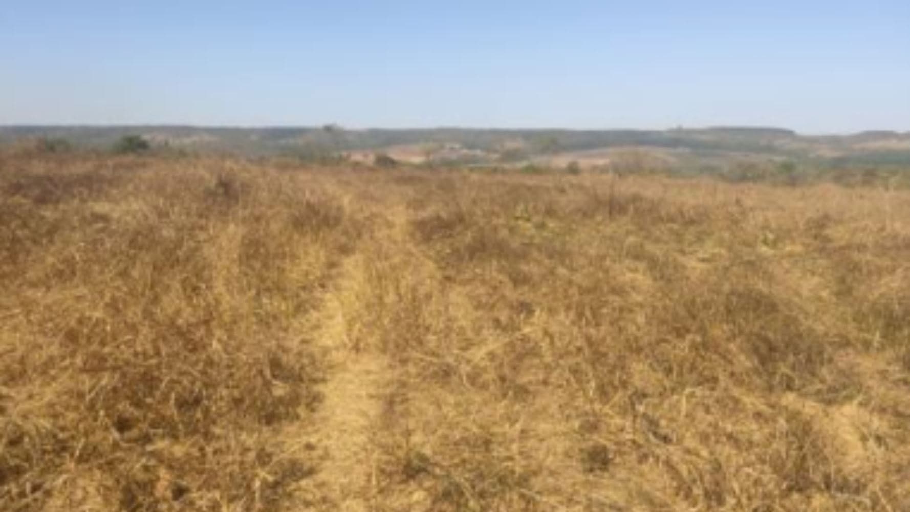 Foto 11 de 19: Terreno em leilão em Luziânia - GO, bairro Cidade Industrial de Luziânia — 08 Terrenos no Loteamento Cidade Industrial de Luziânia - Luziânia/GO